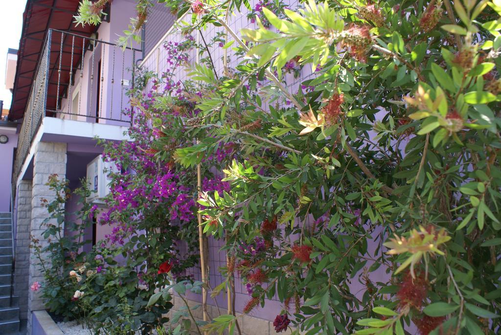 Aparthotel Viola Pjescana Uvala Quarto foto